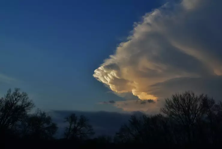 ¡Alerta en Baja California! Frente Frío 20 traerá bajas temperaturas