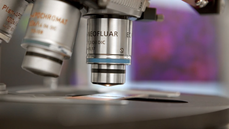 Suspenden a maestra pide de tarea una muestra de semen a sus alumnos