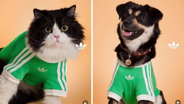 Playeras para perros y gatos marca Adidas