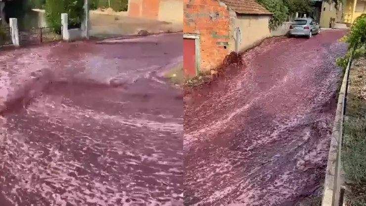 VIDEO: ¡Río de vino tinto! Se derraman 2 millones de litros de vino