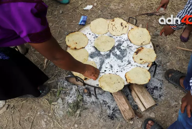 Precio del kilo de tortillas en noviembre en todos los estados