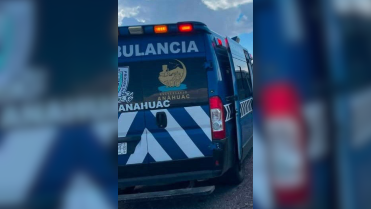 Mujer cae de caballo.