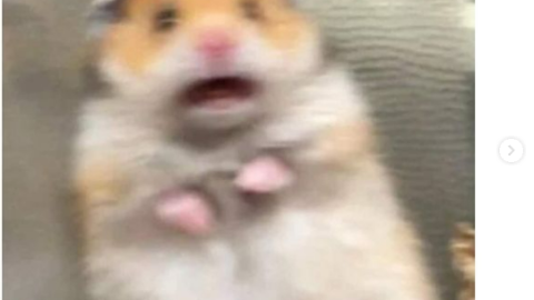 Memes alerta sísmica CDMX