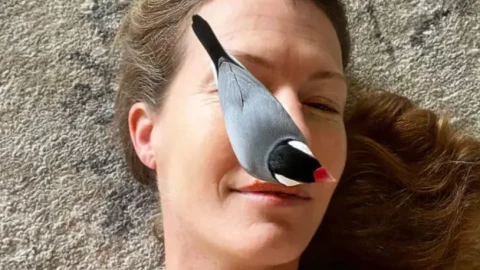 VIDEO - Mujer salva una cría de gorrión... Y vuelve para cantarle