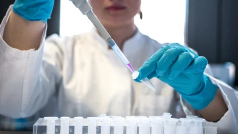 Prepárate: Tres virus que podrían causar alarma en 2026