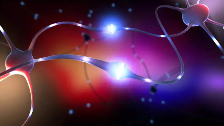 Día Mundial de la Epilepsia