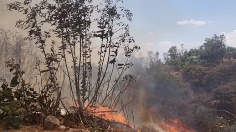 WhatsApp Image 2021-04-08 at 19.02.47 (3).jpeg