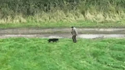 Rescate de perrita ciega se vuelve viral