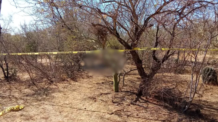Encuentran a persona sin vida en la sindicatura de Jahuara en El Fuerte, Sinaloa.jpg