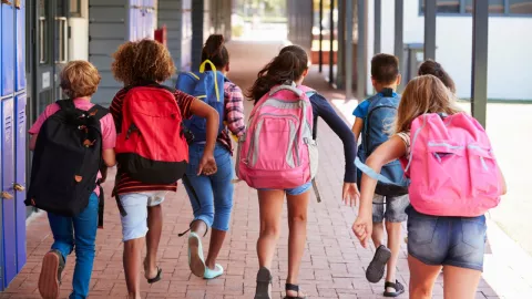 Por esta razón no habrá clases de nivel básico el viernes 22 de noviembre