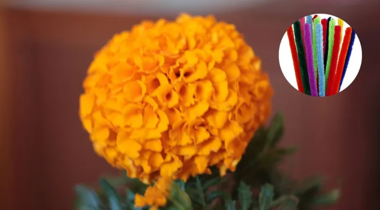 /estilo-de-vida/como-hacer-flores-cempasuchil-limpiapipas-ofrenda-dia-muertos