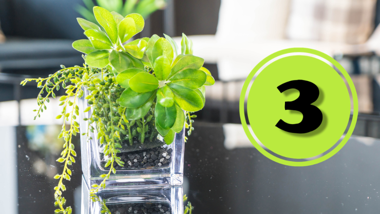 /estilo-de-vida/3-plantas-crecen-agua-centro-mesa