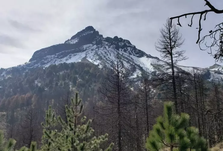 Joven montañista muere al caer del nevado de Colima; autoridades lograron rescatar el cuerpo