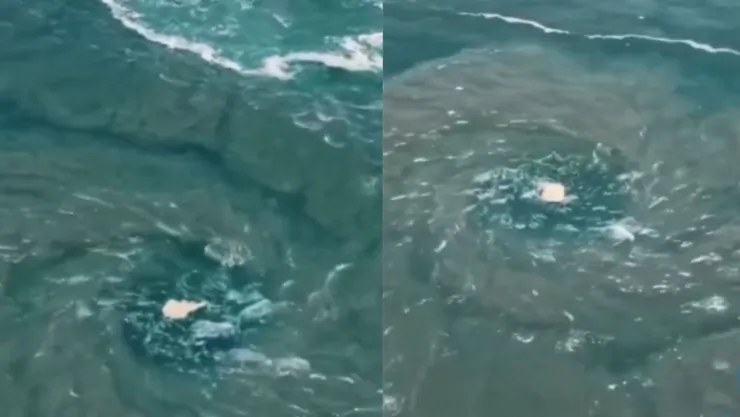 Vórtice Marino en Puerto Escondido