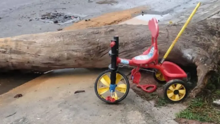 FOTO Cae tronco encima de un niño que iba en su triciclo en Umán