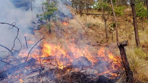 Incendios forestales morelos 09 de marzo 2023