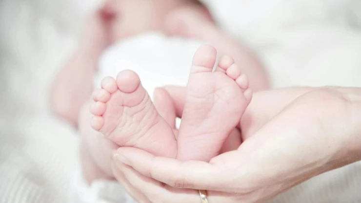 Los cientos de pesos que te costará el acta de nacimiento en Morelos y la opción más barata para obtenerla