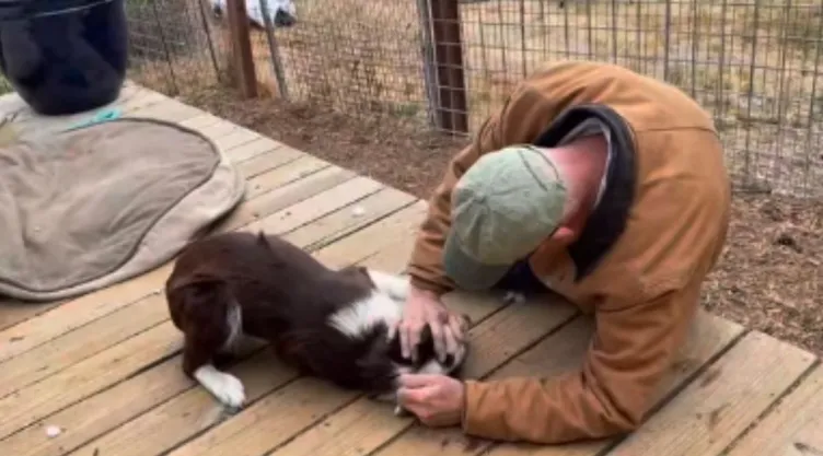 video-perrito-se-reencuentra-rescatador-conmueve-redes-sociales.jpg