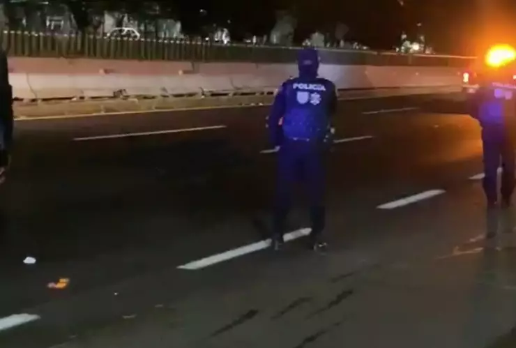 InkedAATROPELLADA_LI OK.jpg