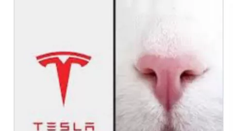 ¿Cómo reaccionaría Elon Musk ante el fuerte olor en Nuevo León?