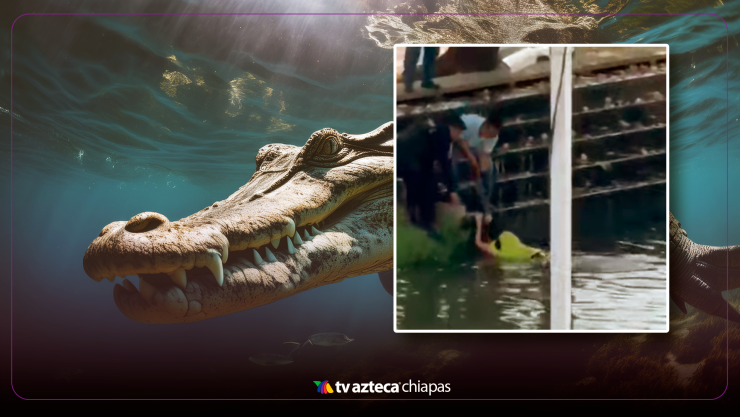 No es la primera vez: cocodrilos sorprenden a personas en Laguna de las Ilusiones