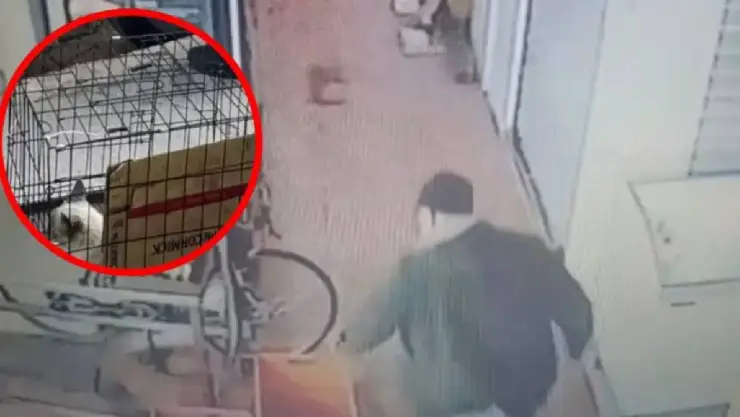 Ecatepec maltrato animal.jpg
