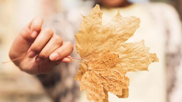 CLIMA EN TIJUANA HOY JEUVES