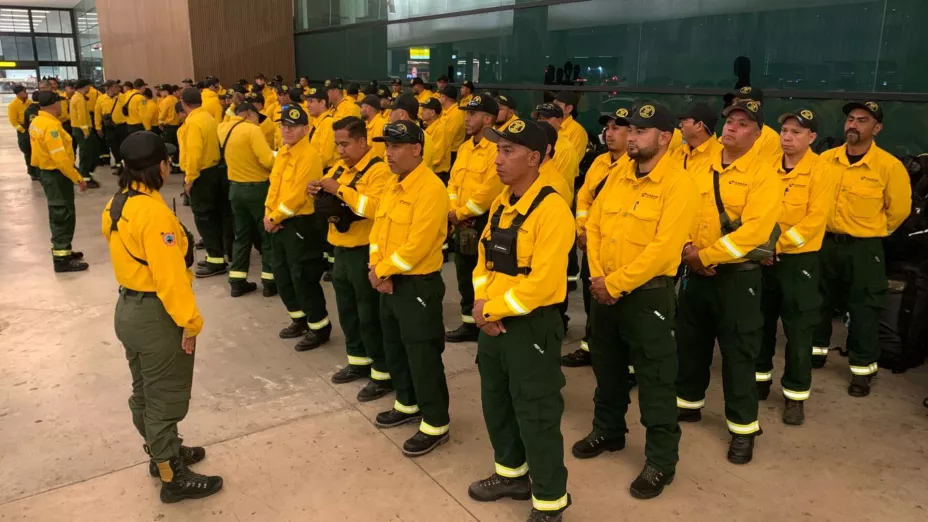 WhatsApp Image 2025-06-30 at 12..jpg