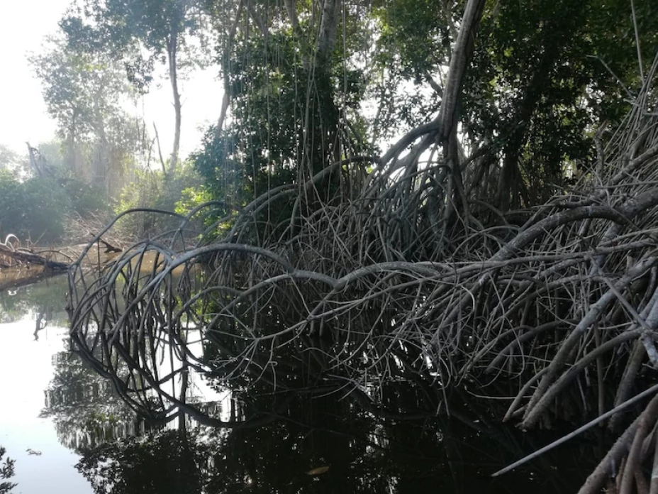 Armada toma subacuática