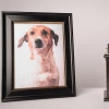 No hay que subestimar el dolor emocional por la pérdida de un animal querido No hay que subestimar el dolor emocional por la pérdida de un animal querido