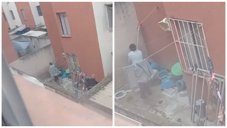 Maltrato animal en Pachuca