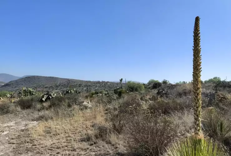 Calor en Querétaro.jpeg