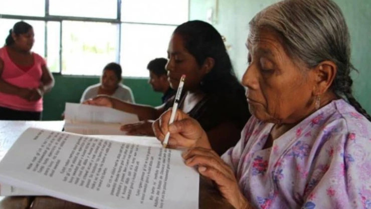 Coneval carencias sociales México .jpg