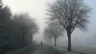 Una madre echó a su hijo de 12 años.jpg