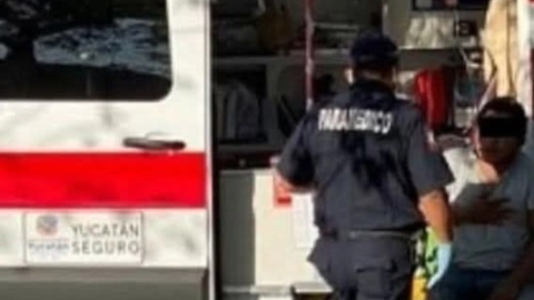 Jardinero termina en el hospital tras ser MORDIDO por una víbora de cascabel