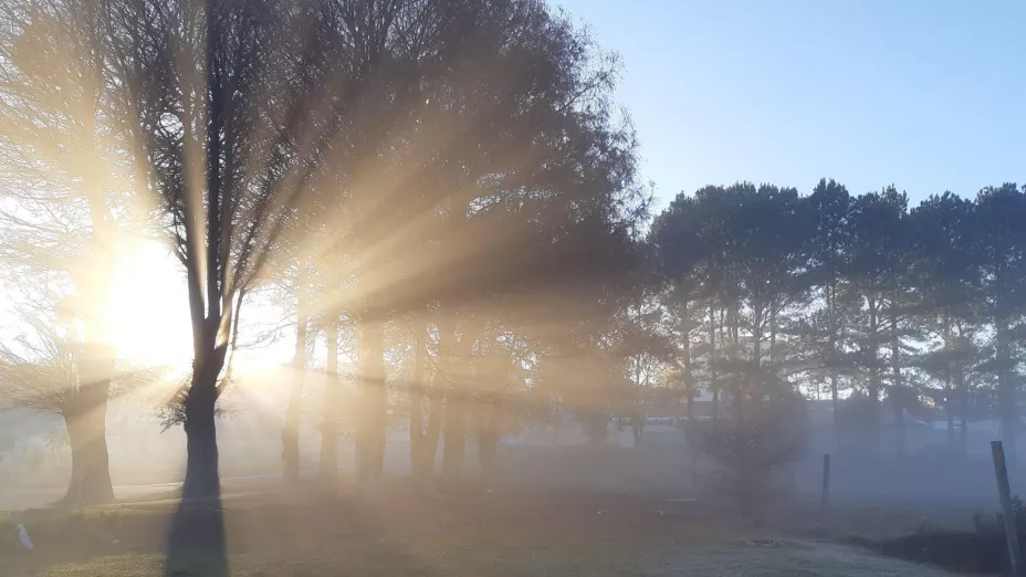¿Cuál será la mínima en Aguascalientes por la llegada de la masa ártica el 11 de noviembre Esto dice el pronóstico sobre el frío