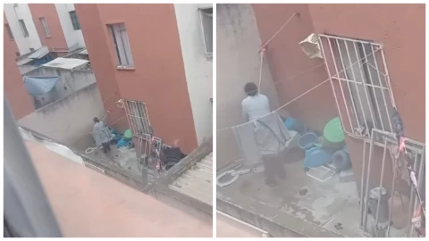 Maltrato animal en Pachuca