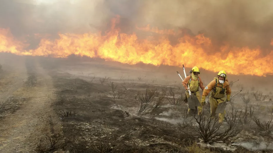 Incendio forestal