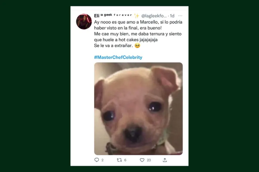 memes masterchef celebrity programa 15 (23).jpg