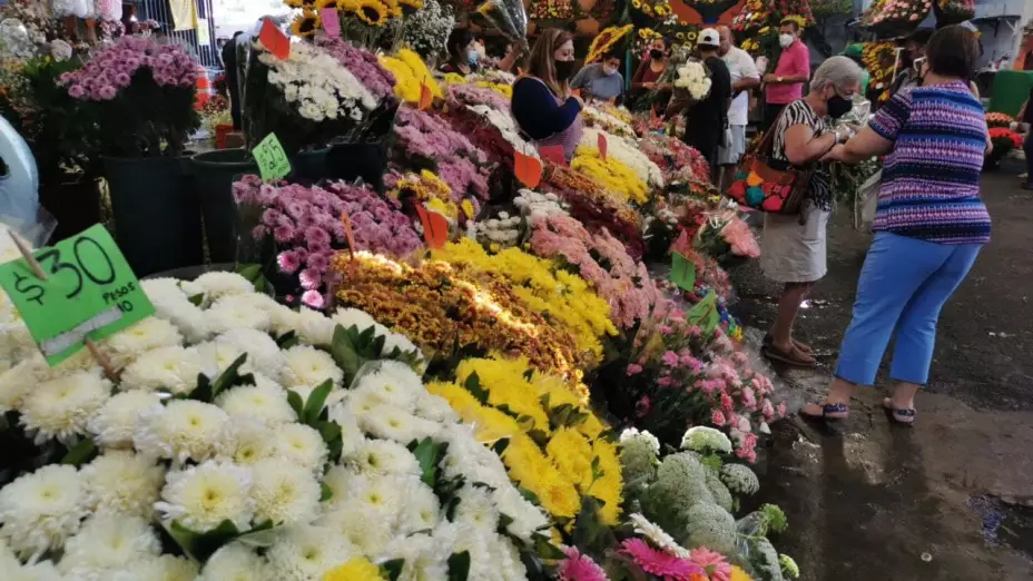 FLORES 1.jpg