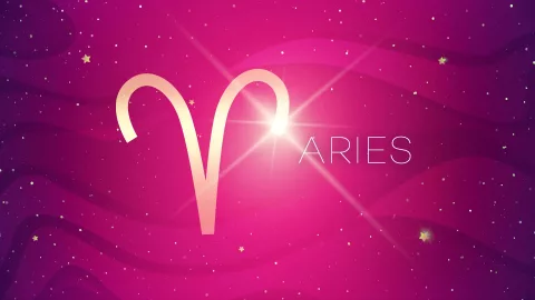 ARIES nov