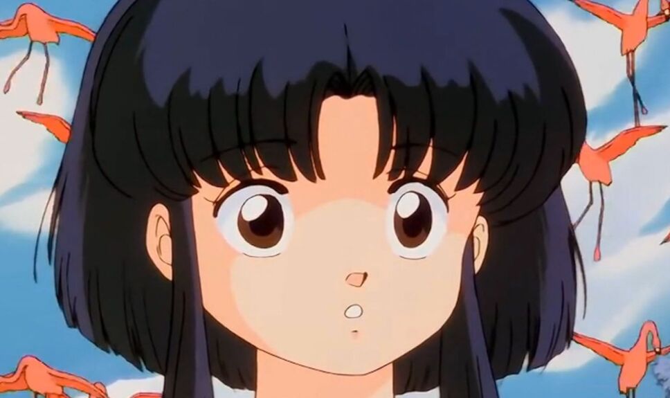 Eres akane tendo ranma y medio