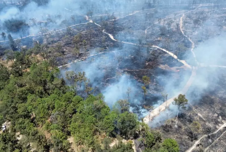 Incendio del Bosque El Centinela activa Alerta Atmosférica: Lista de colonias afectadas por el humo