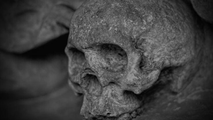 encuentran vampiro polonia