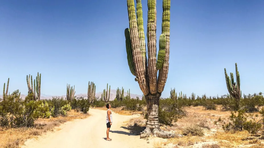 Ecoturismo en Baja California naturaleza, cultura y aventura responsable1.jpg