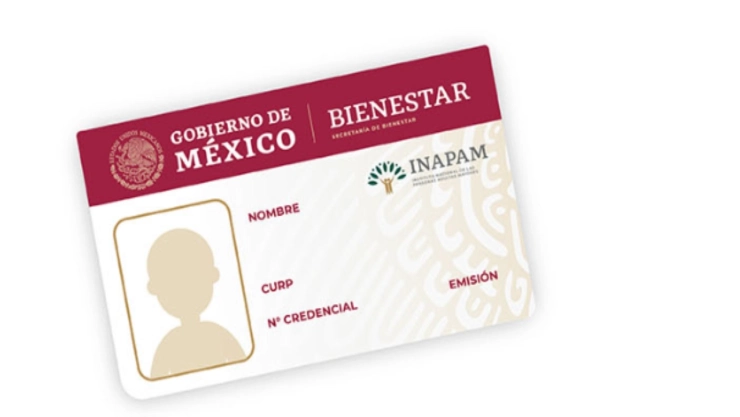 Tarjeta-del-Inapam-Estos-son-los-descuentos-a-los-adultos-mayores-para-comprar-la-cena-de-Navidad