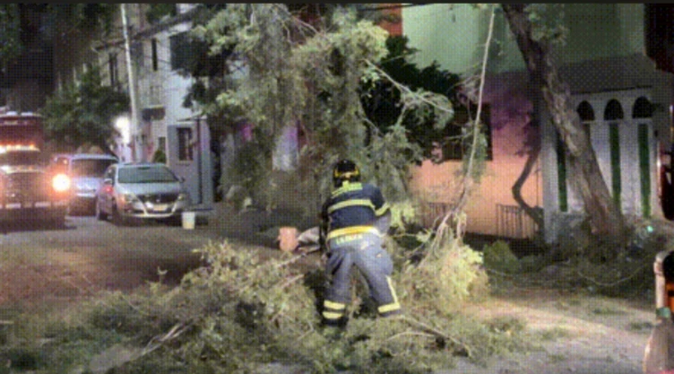 Mientras-dormía-caos-por-tormenta-en-la-CDMX-árboles-caídos-y-accidentes-viales