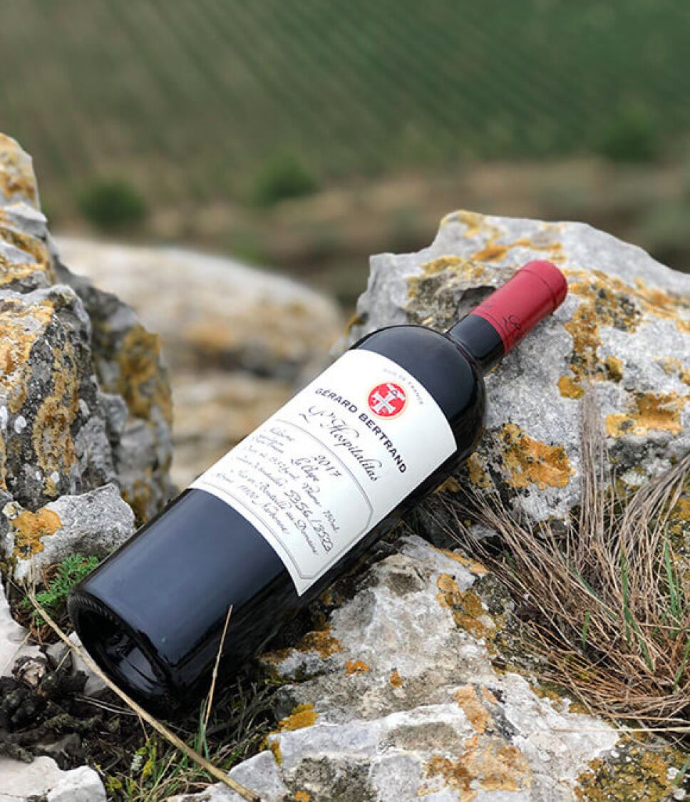 mejor vino del mundo