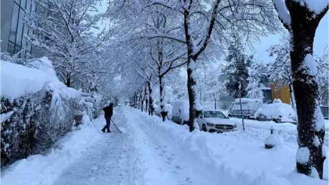TORMENTA DE NIEVE EN ALEMANI SUIZA Y AUSTRIA