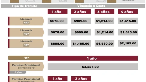 Precios de la licencia de conducir en el Edomex para 2024